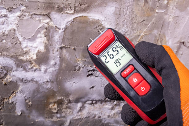 Reliable Mertzon, TX Mold Removal Solutions