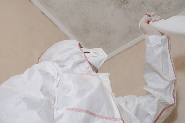 Best Mold Removal Near Me  in Mertzon, TX