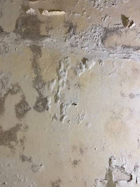 Water Damage Restoration in Mertzon, TX